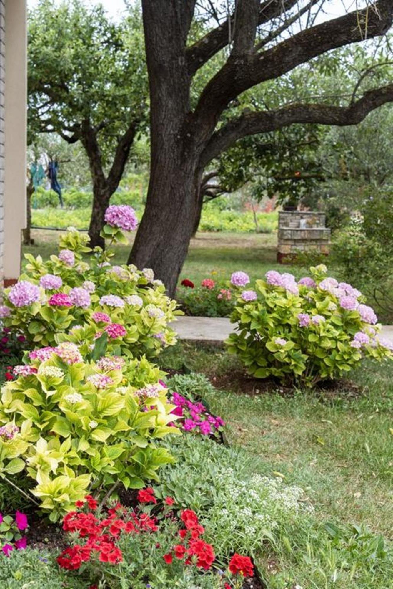 Flower Garden Rhapsody - Modern Family Apartments Near Fazana Bagian luar foto
